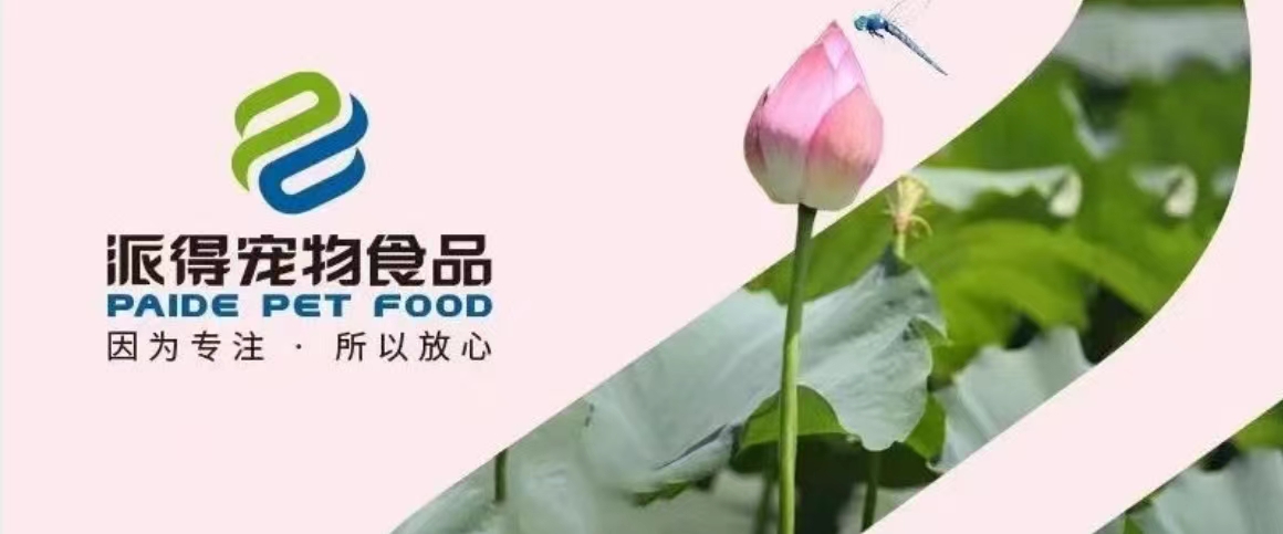ug环球宠物